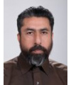 سید حسین رسا
